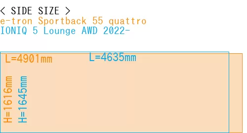 #e-tron Sportback 55 quattro + IONIQ 5 Lounge AWD 2022-